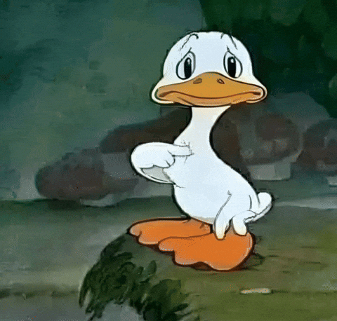 Duck GIF