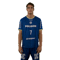 Handball Koester Sticker by DAIKIN HBL