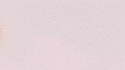 Football Sport GIF by FC Red Bull Salzburg