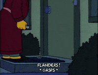 Season 2 Episode 6 GIF by The Simpsons