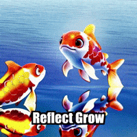 Wisdom Reflection GIF by TheConfishius