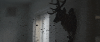 film loop GIF by scenes