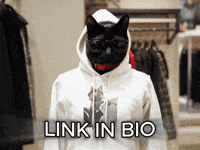 Cat Hoodie GIF