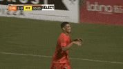 Happy South Carolina GIF by Charleston Battery