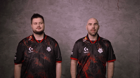 Lmao Seriously GIF by G2 Esports