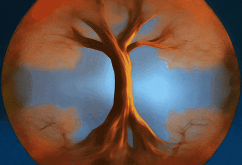 jeffthomann giphyupload animated colorful ai GIF
