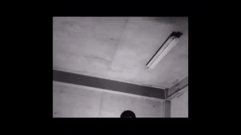 thamia giphygifmaker dominik tarnowski GIF