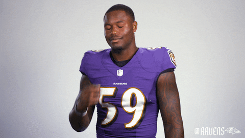 Football Celebrate GIF by Baltimore Ravens