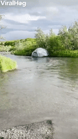 Wind Gust Sends Tent Into River