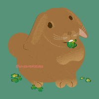 St Patricks Day Good Luck GIF