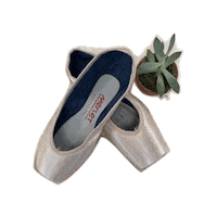 DancewearCenter ballet pointe pointe shoes pointeshoes Sticker