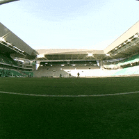 Ligue 1 Football GIF by AS Saint-Étienne