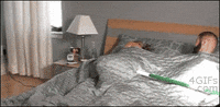 April Fools Prank GIF