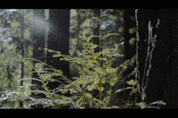 poison ivy life GIF by MINI USA