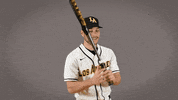 Cal State La Baseball GIF by Cal State LA Golden Eagles