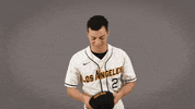 Baseball Calstatela GIF by Cal State LA Golden Eagles