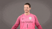 Division Ii Soccer GIF by Cal State LA Golden Eagles