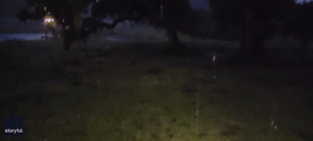 Texas Man Gets Spooked When Lightning Strikes Nearby