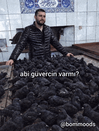 Bommoods GIF