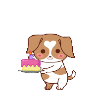 Happy Birthday Love Sticker by MyMorningDog