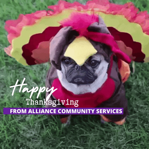 GIF by Alliance Community Services