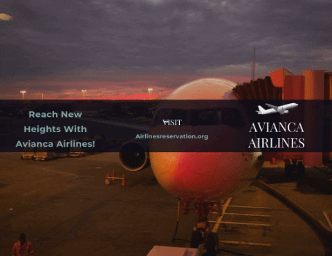 Bettycox8221 giphygifmaker avianca airlines GIF