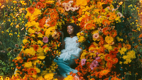 Summer Flowers GIF by Tkay Maidza