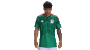 World Cup Futbol Sticker by MiSelecciónMX