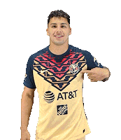 Soccer Goal Sticker by Club America