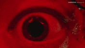 Close Up Eye GIF by Arrow Video