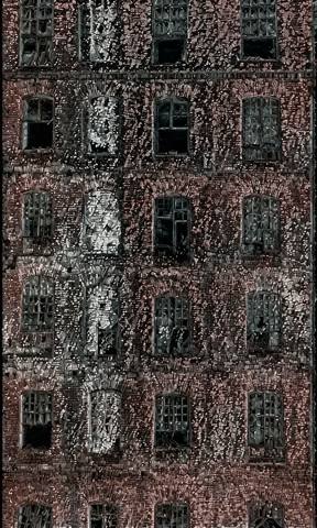 Sa Sd GIF by Aleksey Efremov