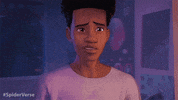 Spiderman Superhero GIF by Spider-Man: Into The Spider-Verse