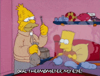 season 4 GIF