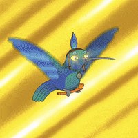 Picaflor GIF by @gallegoseba