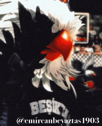 Beşiktaş Basketbol GIF