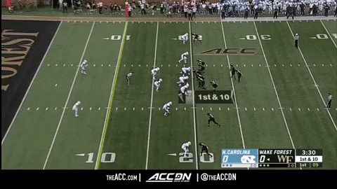 zdunn giphygifmaker GIF