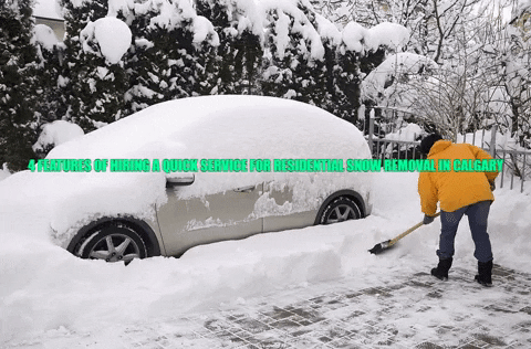 goldenangelco giphygifmaker soft washing in calgary snow removal in calgary residential snow removal in calgary GIF