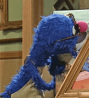 muppetwiki sunglasses sesame street muppets double take GIF