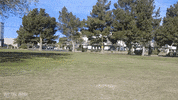 offthejacks chevy sports car camaro muscle cars GIF