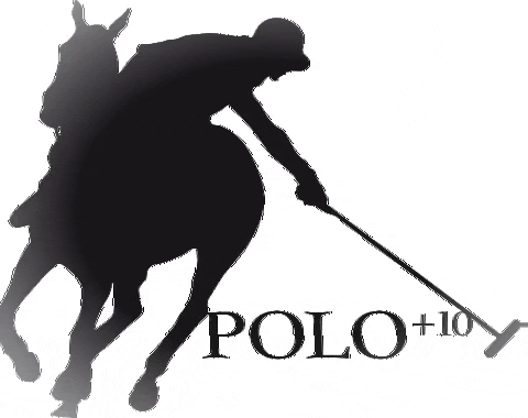 POLOPLUS10 giphygifmaker poloplus10 GIF
