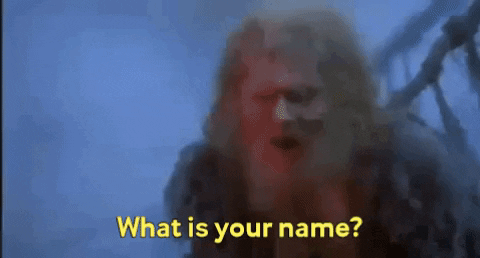 VicVik giphygifmaker giphyattribution GIF