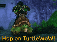 Cragsand wow turtle riding world of warcraft GIF