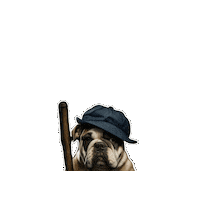 Bad Boy Sticker by bulldogclub
