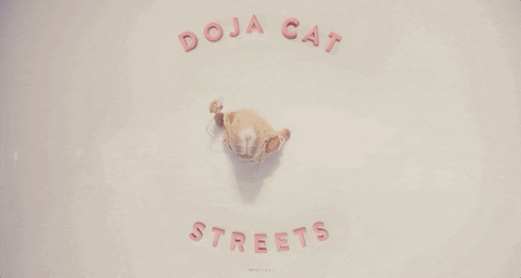 Streets GIF by Doja Cat