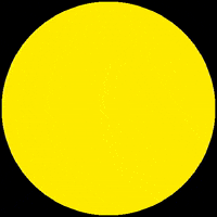 AnyWater carpfishing anywater anywaterbaits bananascopex GIF