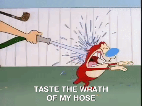 ren and stimpy nicksplat GIF