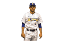 Baseball Hat Sticker by Delaware Blue Hens