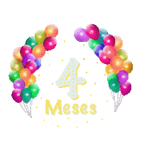 Festa 4 Meses Sticker