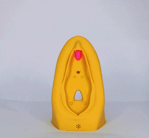 vulvarias giphyupload vagina vulva clitoris GIF