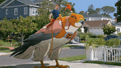 whip it ride GIF by Son of Zorn
